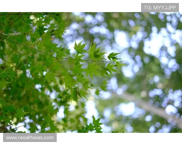 918博天 客户至上服务理念，坚持品质为先打造行业标杆树立优秀品牌形象